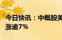 今日快讯：中概股美股盘前多数走高，房多多涨逾7%