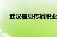 武汉信息传播职业技术学院录取分数线