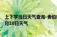 上下学当日天气查询-舍伯吐天气预报通辽舍伯吐2024年10月10日天气