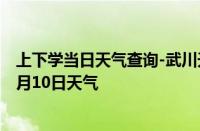 上下学当日天气查询-武川天气预报呼和浩特武川2024年10月10日天气