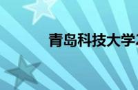 青岛科技大学2020录取分数线