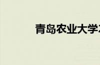 青岛农业大学2020录取分数线