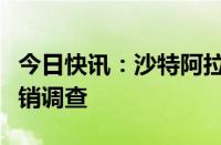 今日快讯：沙特阿拉伯对华二氧化钛启动反倾销调查