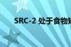 SRC-2 处于食物短缺生存适应的中心