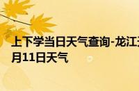 上下学当日天气查询-龙江天气预报齐齐哈尔龙江2024年10月11日天气