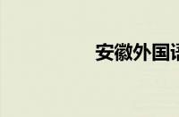 安徽外国语学院怎么样