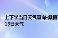 上下学当日天气查询-桑植天气预报张家界桑植2024年10月13日天气