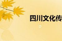 四川文化传媒学院怎么样