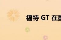 福特 GT 在墨西哥取得杆位