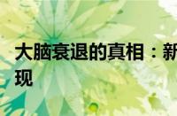 大脑衰退的真相：新研究揭示了令人惊讶的发现