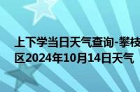 上下学当日天气查询-攀枝花西区天气预报攀枝花攀枝花西区2024年10月14日天气