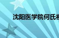 沈阳医学院何氏视觉科学学院怎么样