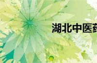 湖北中医药高专怎么样