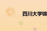 四川大学锦江校区怎么样