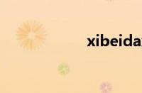 xibeidaxue怎么样