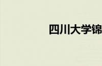 四川大学锦成学院怎么样