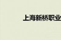 上海新桥职业技术学院怎么样