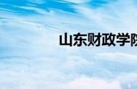 山东财政学院分数线怎么样