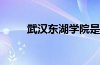 武汉东湖学院是正规大学吗怎么样