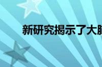 新研究揭示了大脑突触的潜在复杂性