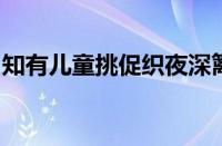 知有儿童挑促织夜深篱落一灯明是指什么意思