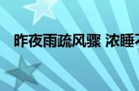 昨夜雨疏风骤 浓睡不消残酒是指什么意思