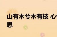 山有木兮木有枝 心悦君兮君不知是指什么意思