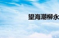 望海潮柳永是指什么意思