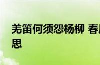 羌笛何须怨杨柳 春风不度玉门关是指什么意思