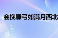 会挽雕弓如满月西北望射天狼是指什么意思