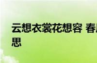 云想衣裳花想容 春风拂槛露华浓是指什么意思