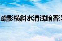 疏影横斜水清浅暗香浮动月黄昏是指什么意思