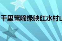 千里莺啼绿映红水村山郭酒旗风是指什么意思