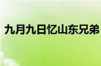 九月九日忆山东兄弟 王维的诗是指什么意思