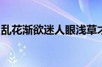 乱花渐欲迷人眼浅草才能没马蹄是指什么意思