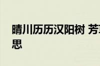 晴川历历汉阳树 芳草萋萋鹦鹉洲是指什么意思