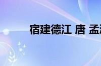 宿建德江 唐 孟浩然是指什么意思