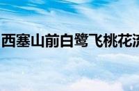 西塞山前白鹭飞桃花流水鳜鱼肥是指什么意思