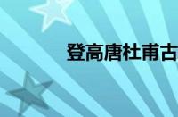 登高唐杜甫古诗是指什么意思