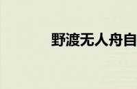 野渡无人舟自横是指什么意思