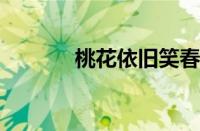 桃花依旧笑春风是指什么意思