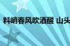 料峭春风吹酒醒 山头斜照却相迎指什么意思