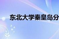 东北大学秦皇岛分校就业信息网怎么样