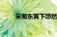 采菊东篱下悠然见南山指什么意思