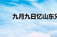 九月九日忆山东兄弟古诗指什么意思