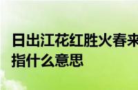 日出江花红胜火春来江水绿如蓝的意思是什么指什么意思