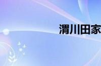 渭川田家指什么意思