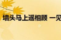 墙头马上遥相顾 一见知君即断肠指什么意思