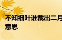 不知细叶谁裁出二月春风似剪刀的意思指什么意思