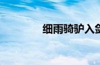 细雨骑驴入剑门指什么意思